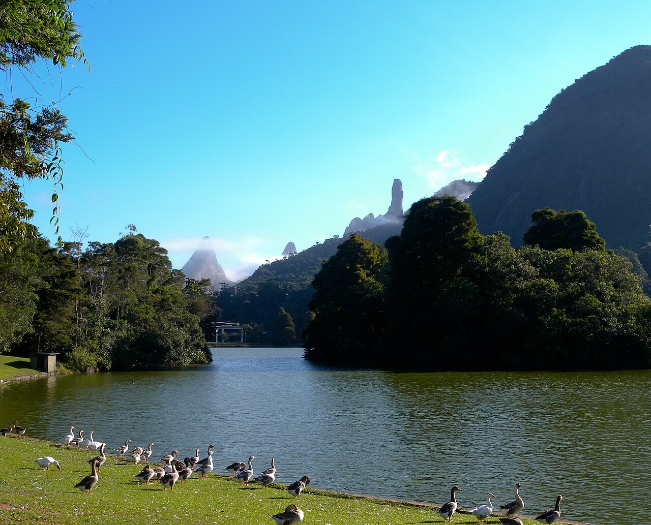 Lago com gansos na margem gramada, vegetação e pequena construção, com montanhas rochosas parcialmente cobertas por névoa ao fundo.