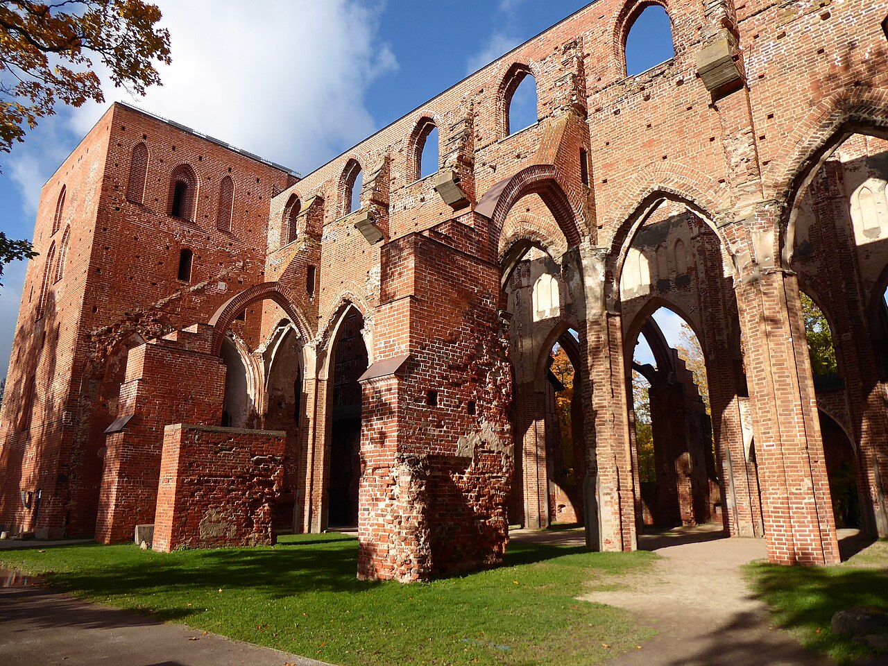 Ruínas da catedral de Tartu em tijolos vermelhos, com altos arcos ogivais, janelas sem vidro, gramado e árvores de folhas amareladas.