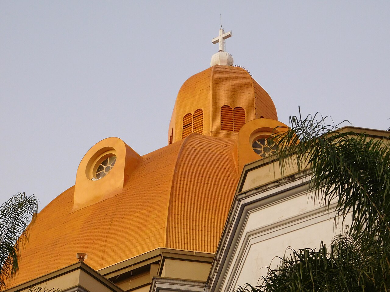 Parte superior da Catedral de São Carlos vista de baixo, com cúpula alaranjada, cruz branca, fachada clara e folhas de palmeiras.