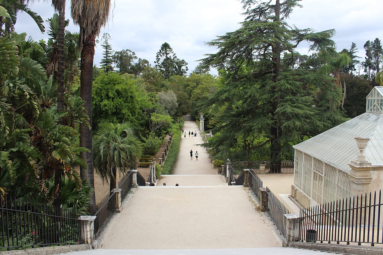 Vista elevada do Jardim Botânico de Coimbra, com escadarias, caminho central, palmeiras, árvores e uma estufa envidraçada à direita.
