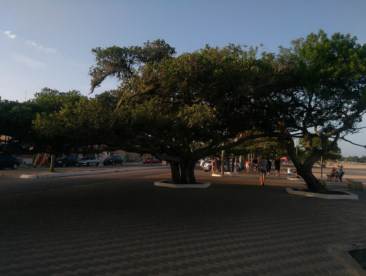 Calçadão arborizado do Laranjal, com pedestres e pessoas sentadas perto da areia à direita e uma rua com carros à esquerda.