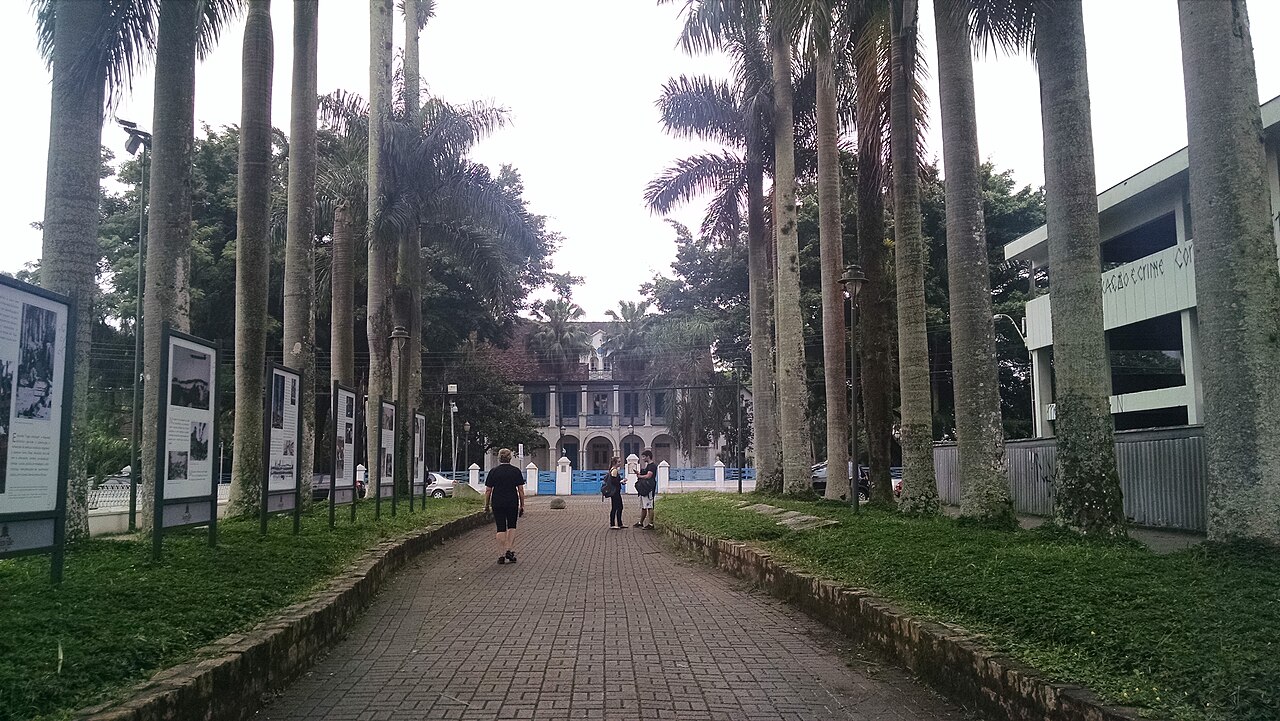 Passeio pavimentado entre palmeiras altas, com canteiros, painéis, pedestres e um casarão ao fundo atrás de uma cerca branca e azul.