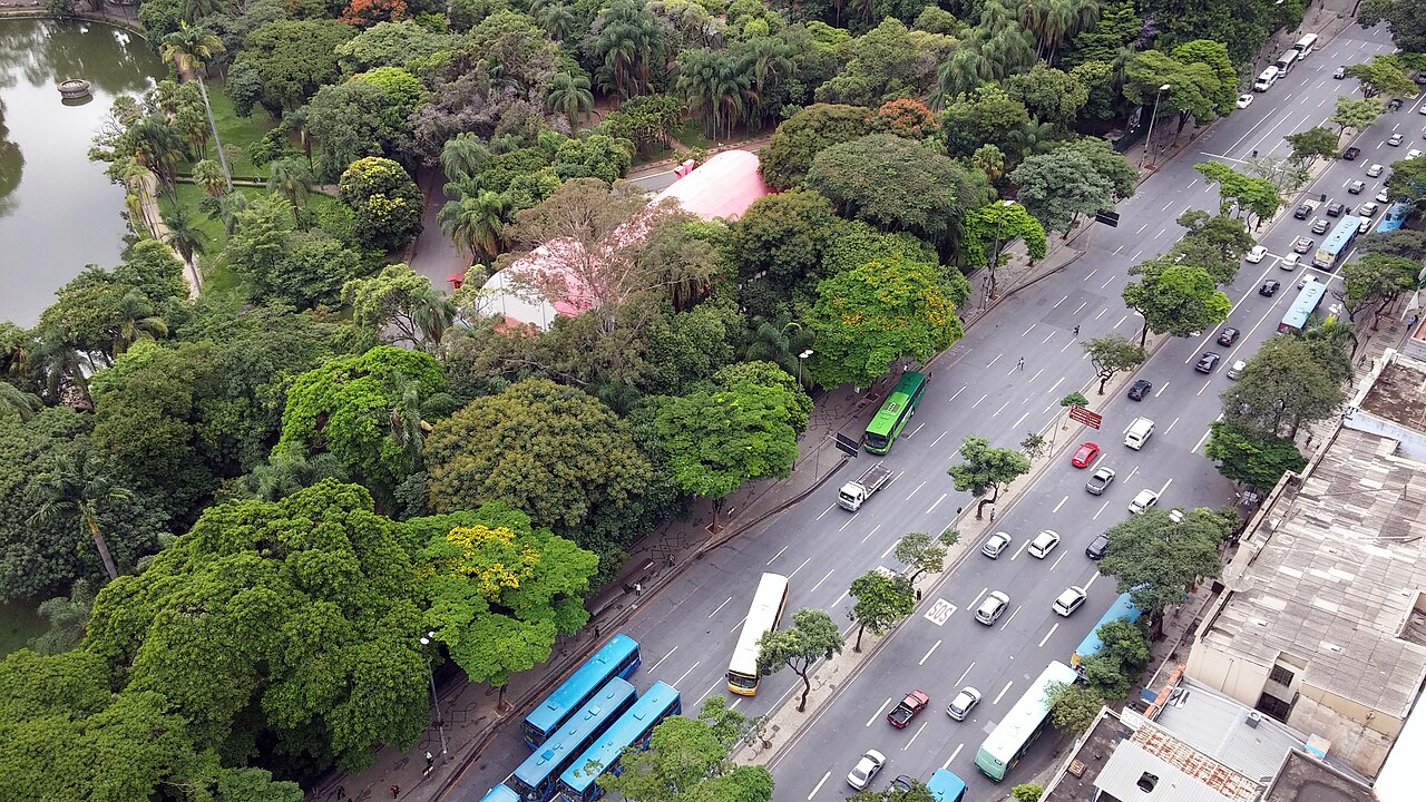 Vista elevada do Parque Municipal, com árvores, parte de um lago, caminhos e uma avenida com veículos à direita.