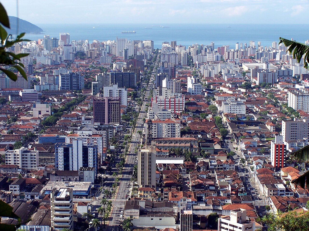 Vista elevada com edifícios, casas de telhados avermelhados, avenida arborizada e mar com navios ao fundo, enquadrada por folhagem.