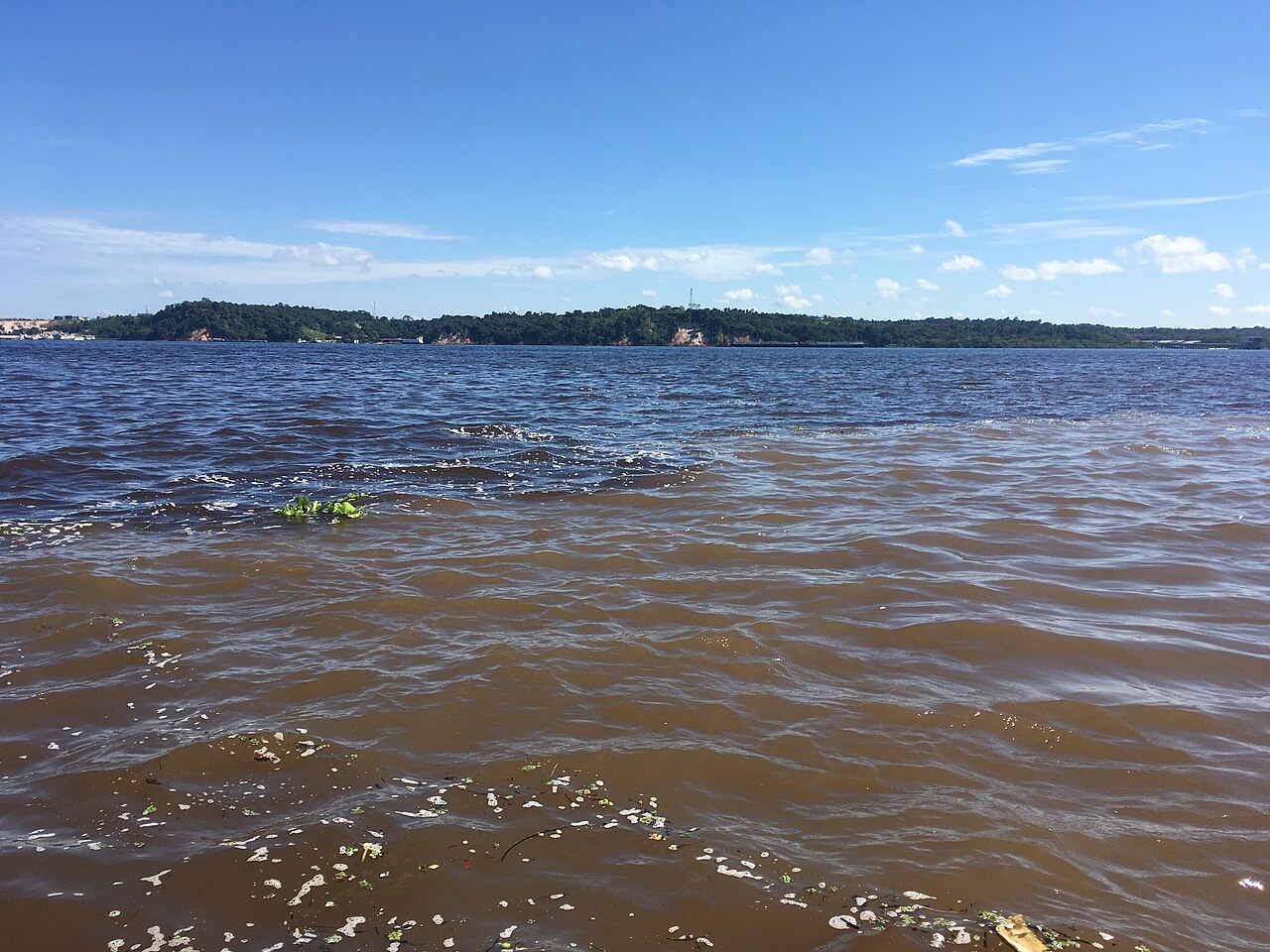 Águas barrentas em primeiro plano e uma faixa de água mais escura ao fundo, com pequenas ondas e margem arborizada.
