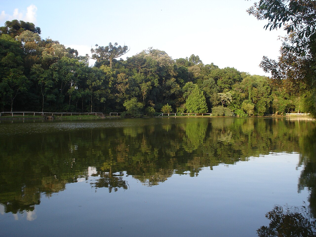 Lago da Aldeia do Imigrante refletindo vegetação das margens, com araucárias, cerca clara e galhos no alto da imagem.