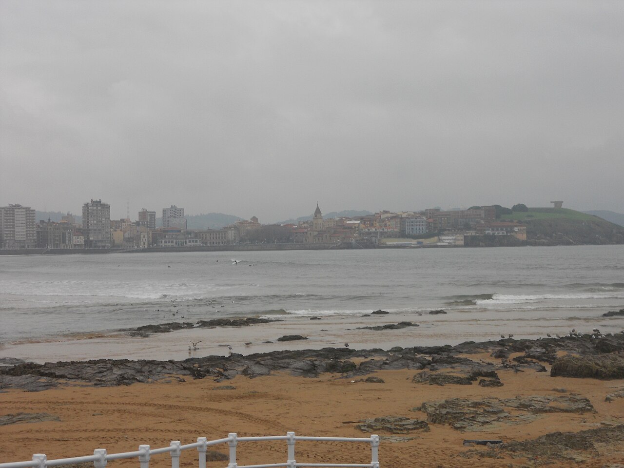 Praia com areia e rochas expostas, pequenas ondas e aves junto à água; grade branca em primeiro plano e prédios na orla sob céu cinzento.