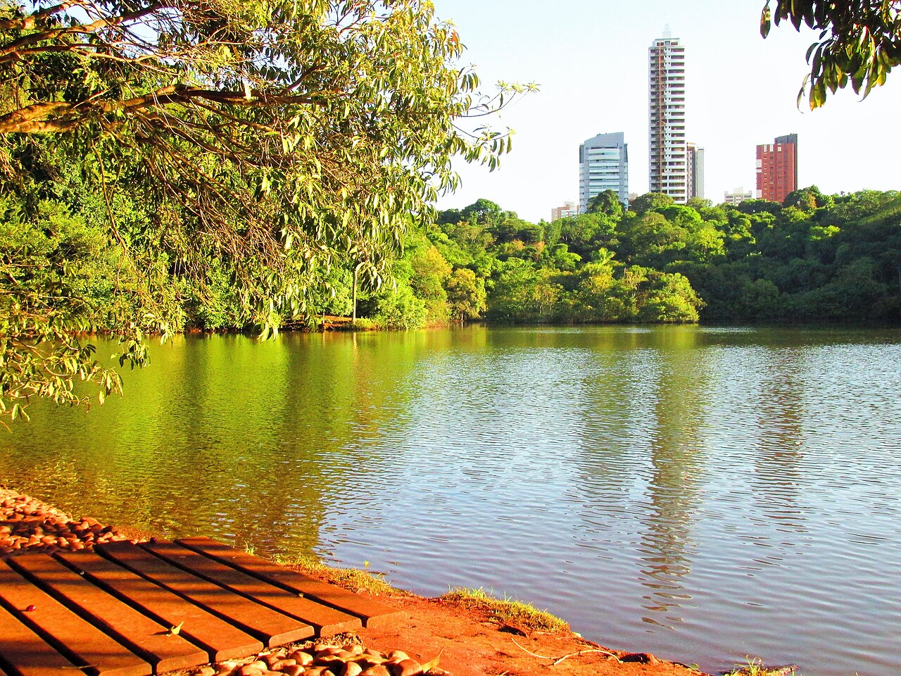 Lago do Parque do Ingá cercado por vegetação, com galhos sobre a água, pedras e terra avermelhada em primeiro plano e edifícios ao fundo.