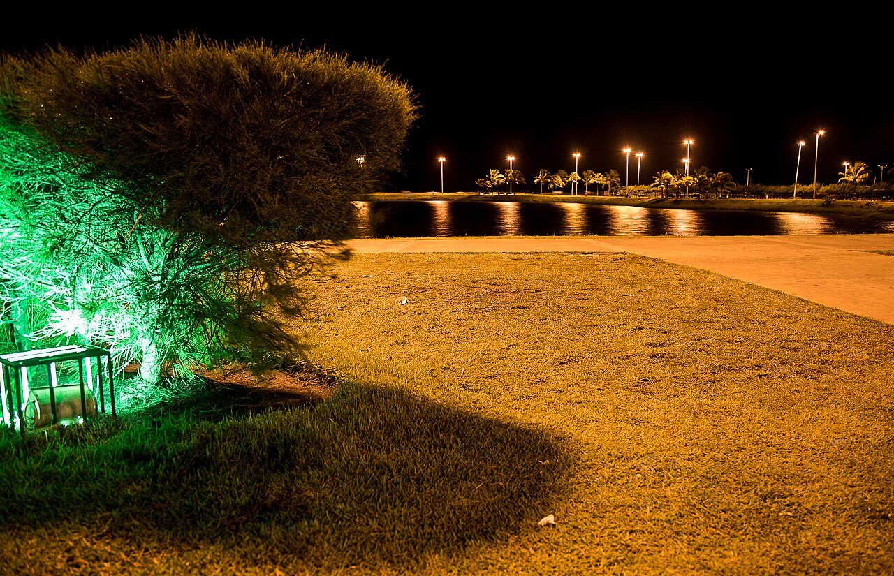 Lago à noite com reflexos de postes, palmeiras ao fundo, gramado, caminho pavimentado e uma árvore iluminada de verde à esquerda.