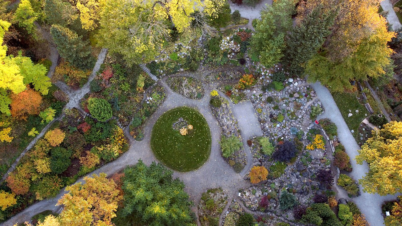 Vista aérea do Jardim Botânico com caminhos sinuosos, canteiros rochosos, gramado oval e árvores de folhas verdes, amarelas e alaranjadas.