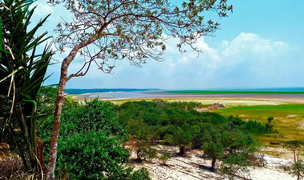 Turismo em Amazonas - Principais Atrações