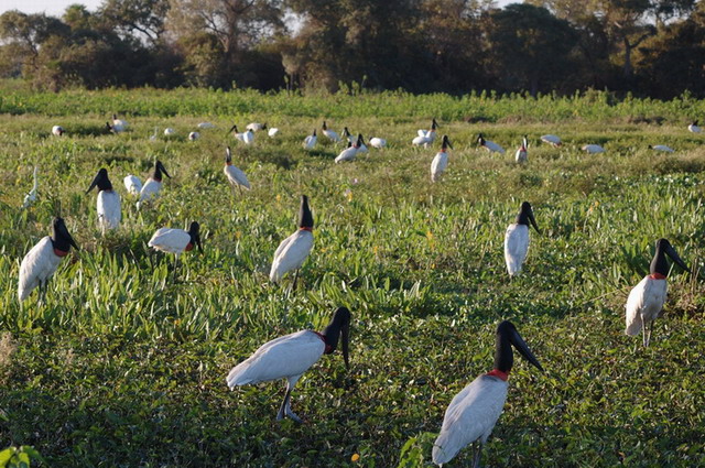 Fotos de Pousada Piuval