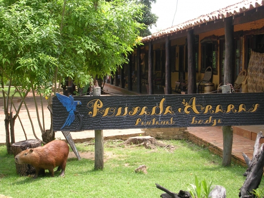 Fotos de Pousada Araras Pantanal Eco Lodge