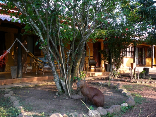 Fotos de Pousada Araras Pantanal Eco Lodge