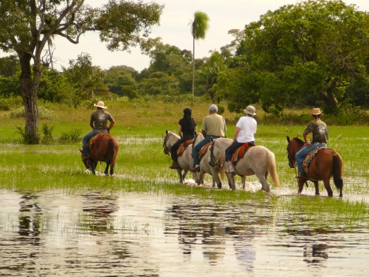 Fotos de Pousada Araras Pantanal Eco Lodge