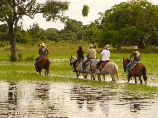 Fotos de Pousada Araras Pantanal Eco Lodge