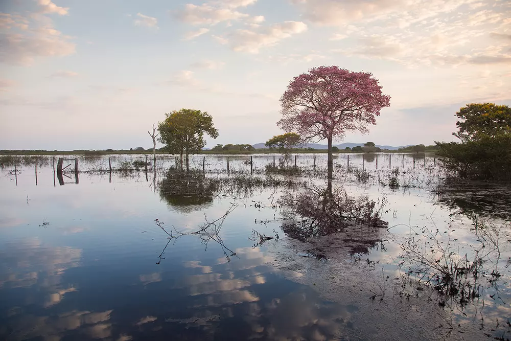 Foto de Mato Grosso do Sul