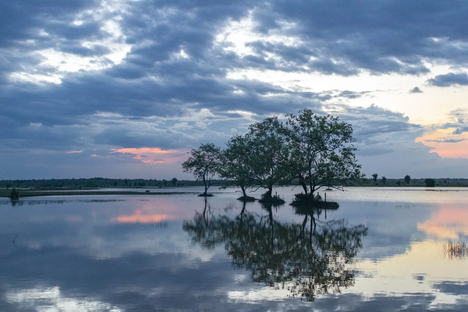 Turismo em Pará - Principais Atrações