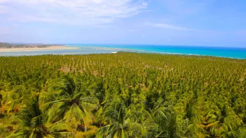 Alagoas
